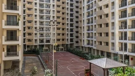 basket ball court