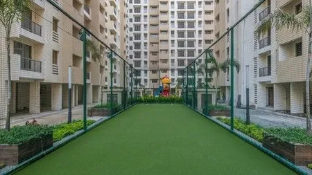 cricket court