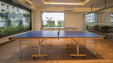 tableTennis amenities